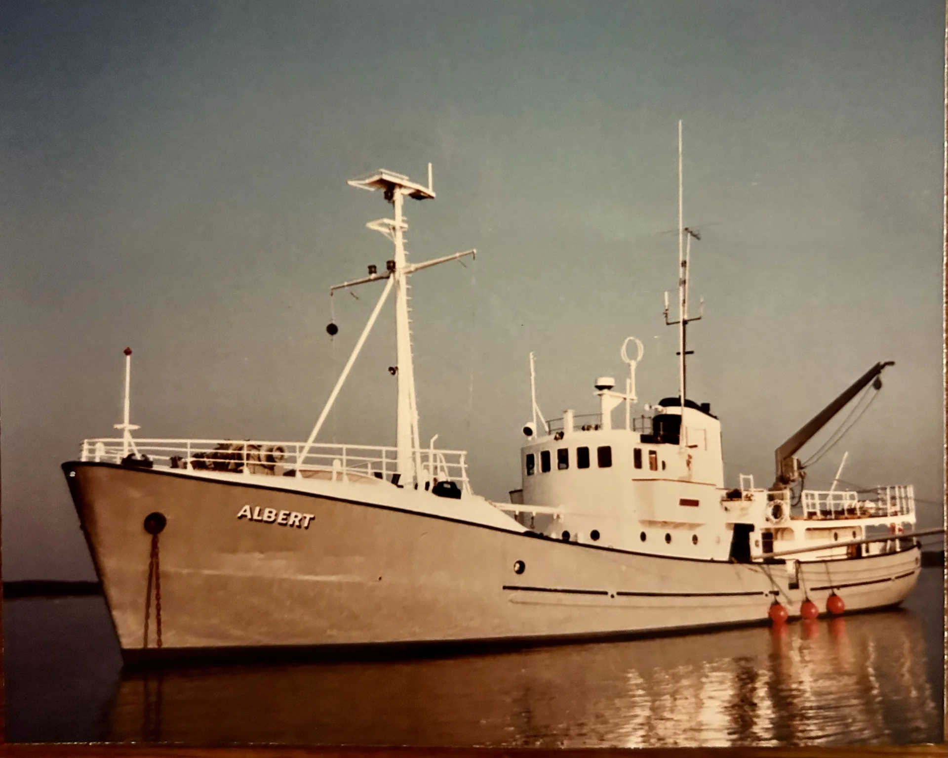profile-image